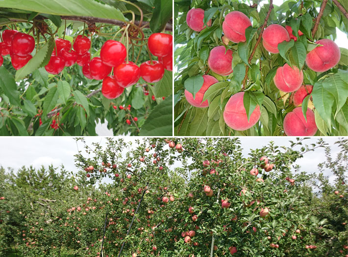 がんばろう福島